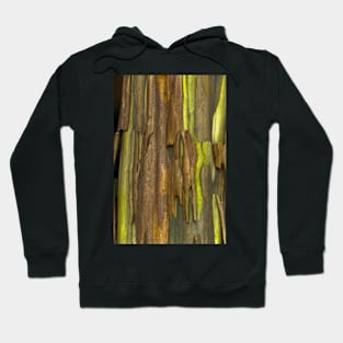 Green Bark 2 Hoodie